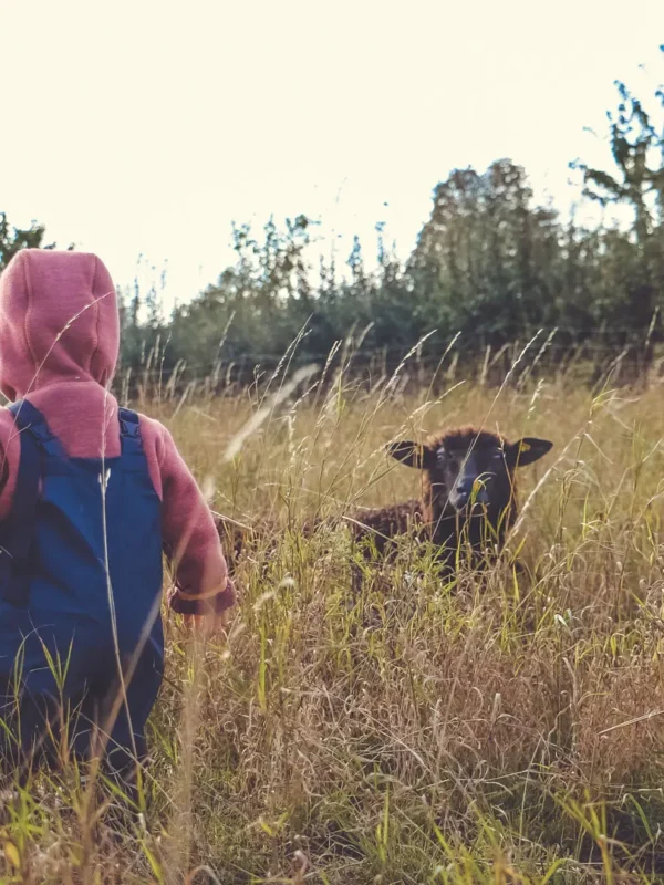 Wollwichtel 2-4Jahre